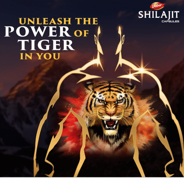 Capsules Dabur Shilajit 30s | Augmente la force, l'endurance et la puissance| - Image 3