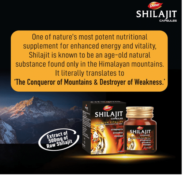 Capsules Dabur Shilajit 30s | Augmente la force, l'endurance et la puissance| - Image 2