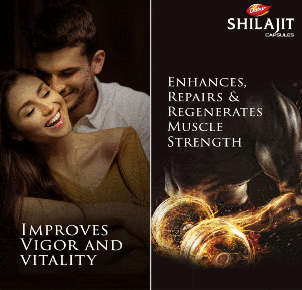 Capsules Dabur Shilajit