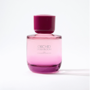 ZARA ORCHID EXTRA-BLOOM